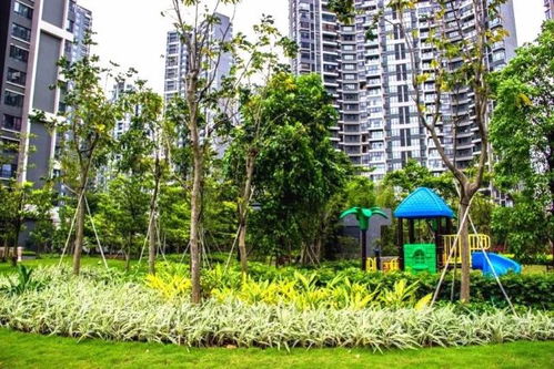 中國(guó)風(fēng)景園林學(xué)會(huì)優(yōu)秀園林工程精品項(xiàng)目回顧