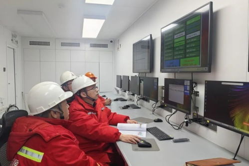 中國(guó)石化十大石油工程技術(shù)公開(kāi)，賦能全球能源勘探開(kāi)發(fā)