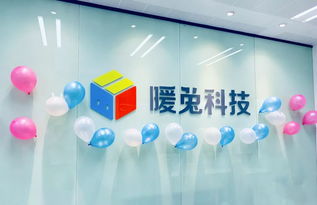 廈門暖兔科技前端工程師招聘 工程技術咨詢服務領域的挑戰與機遇